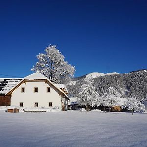 Апартаменти Ferien Am Land - Waldbauer Rossleithen Exterior photo