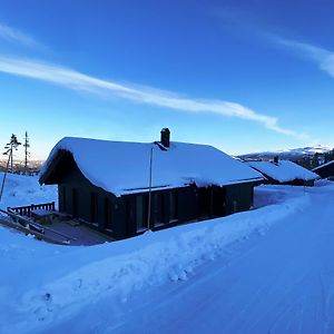 Вілла Modern Och Bekvaem Hytte Naera Gaustatoppen, 3 Sovrum 9 Baeddar Gaustablikk Exterior photo