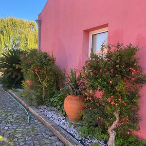 Гостьовий будинок Casa Das Jardas Іданья-а-Нова Exterior photo