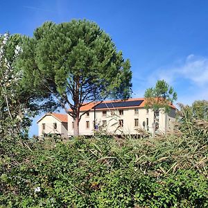 Les Logis Du Port - Port Canal - Монтобан Exterior photo