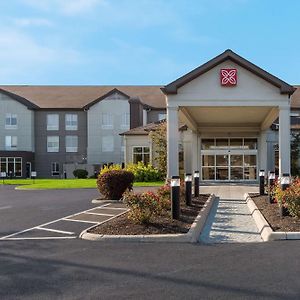 Hilton Garden Inn Columbus/Ґров-Сіті Exterior photo