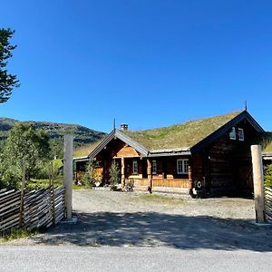 Вілла Solsetra - Mountain Majesty Family Log Cabin Говден Exterior photo
