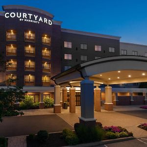 Готель Courtyard By Marriott Buffalo Airport Чіктоваґа Exterior photo