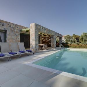 Вілла Ouzo Stone House 2 With Private Pool Plomari Exterior photo
