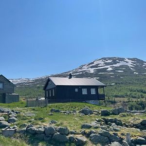 Апартаменти Bjorgo Gard - Stegastein Еурланн Exterior photo