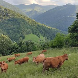 Вілла La Grange De L'Ours Сен-Ларі Exterior photo