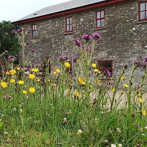 Вілла The Old Mill, Kilcorkey, Bellanagare, Castlerea, County Roscommon - West Of Ireland -House 1 Exterior photo