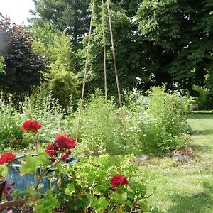 Вілла Rendez-Vous Au Jardin Notre-Dame-de-l'Osier Exterior photo
