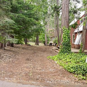 Вілла Twain Harte Cabin With Deck And Fire Pit! Exterior photo