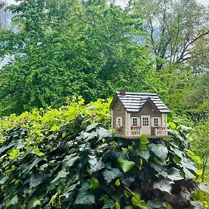 Cozy Private Home, 1 Acre Orchards Near Apple Hill Плейсервілл Exterior photo