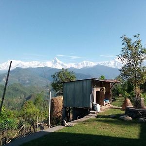 Royal Eco-Village Homestay Покхара Exterior photo