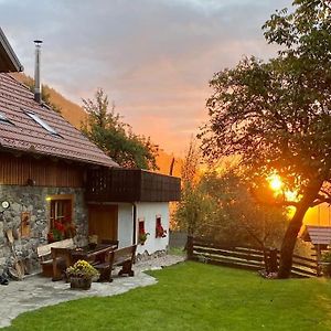 Traditional Slovenian House Vransko Exterior photo