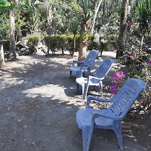 Апартаменти Playa Casa Nohelia Santo Domingo Exterior photo