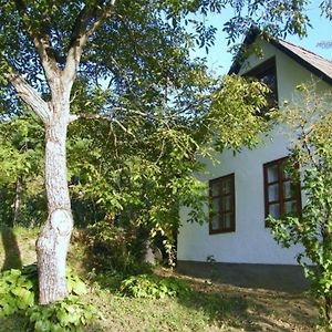 Freistehendes Ferienhaus In Dobrokoz Mit Garten, Terrasse Und Grill Exterior photo