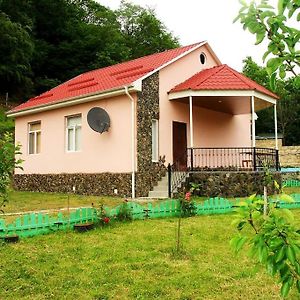 Guliyev Home Ґах Exterior photo