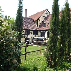 Готель Domaine Du Moulin Im Elsass Bischwiller Room photo