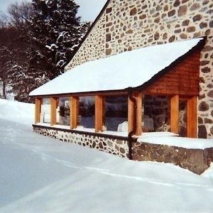 Вілла Gite De Charme Au Coeur Des Volcans D'Auvergne, Proche Super-Lioran, Nature Et Histoire - Fr-1-742-458 Dienne  Exterior photo