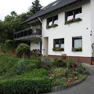 Апартаменти Auf Dem Kleeberg Niederzissen Exterior photo