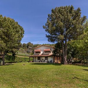 Готель El Bosque De La Herrezuela Гісандо Exterior photo