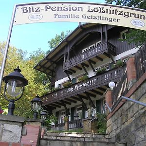 Bilz-Pension Радебойль Exterior photo