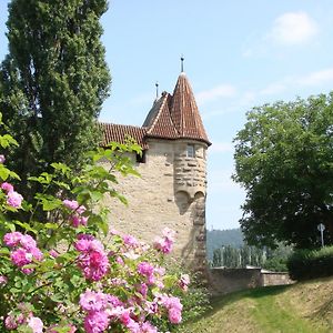 Готель Weingut Gaestehaus Weigand Іпгофен Exterior photo