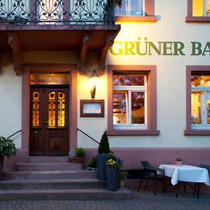 Hotel & Restaurant Gruener Baum Merzhausen Фрайбург-у-Брайсгау Exterior photo