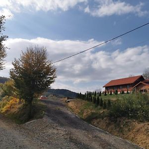 Готель Cabana Valea Popii Sita Buzaului Exterior photo