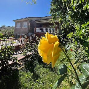 Вілла Casa Con Jardin En Escalona Escalona  Exterior photo