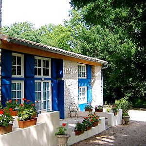 Вілла Le Clos Sainte Marie - Lampy Cenne-Monesties Exterior photo