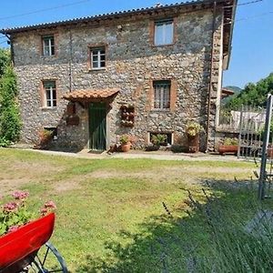 Вілла Ferienhaus Mit Privatpool Fuer 6 Personen Ca 155 Qm In Pescaglia, Toskana Provinz Lucca Exterior photo