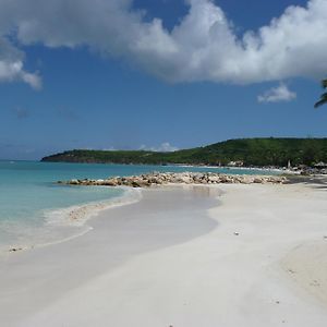 Апарт готель Buccaneer Beach Club Dickenson Bay Exterior photo