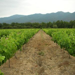 Готель Domaine De Nidoleres Tresserre Exterior photo