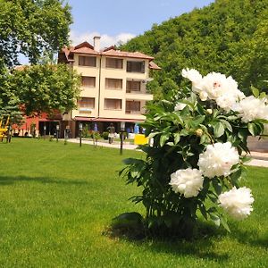 Family Hotel Delta Огняново Exterior photo