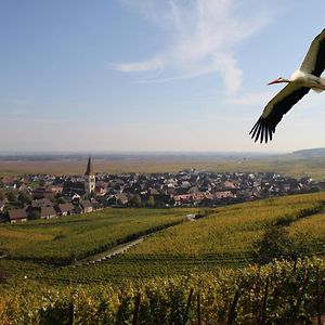 Les Chambres Du Vignoble Аммершвір Exterior photo