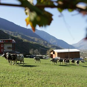 Гостьовий будинок Agriturismo Stella Orobica Albosaggia Exterior photo