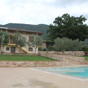 Bed and Breakfast Le Querce Di Mamre Passaggio di Assisi Exterior photo