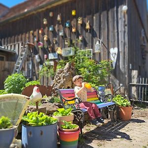 Wunderschoene 3-Zimmerwohnung Auf Dem Bauernhof Вассертрюдінген Exterior photo