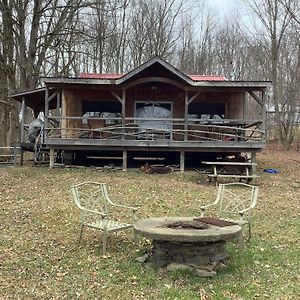 Вілла Willow Point Cabin Brenchly Lake Ulster Exterior photo