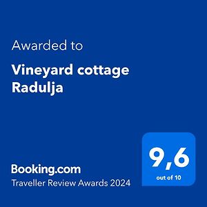 Vineyard Cottage Radulja Шмарєске-Топлице Exterior photo