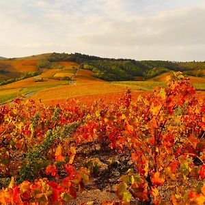 Вілла Le Panoramic Chiroubles Beaujolais Exterior photo