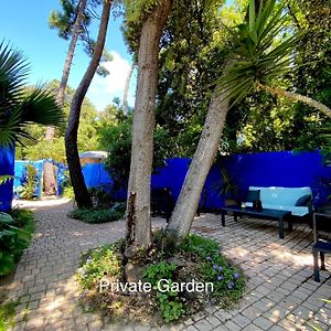 Апартаменти Studio With Beautiful Private Garden On The Forest In Domino Les Sables Vignier Exterior photo