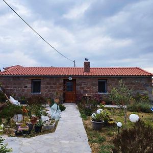 Апартаменти Owls Nest Limnos House - Pet Friendly, Close To The Beach Moudhros Exterior photo