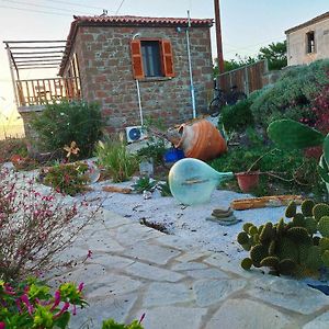 Owls Nest Limnos Apartment - Pet Friendly, Close To The Beach Moudhros Exterior photo