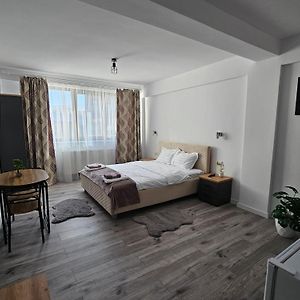 Готель Didi Apartament Крайова Room photo