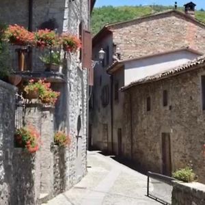 Апартаменти Locanda Il Dolce Far Niente San Romano in Garfagnana Exterior photo