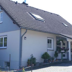 Wohnung In Heringhausen Mit Grill Diemelsee Exterior photo