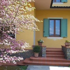 Вілла Ferienhaus In Gallicano Mit Garten Und Pool Exterior photo