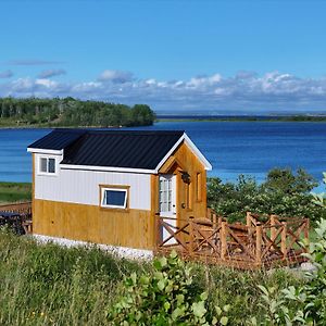 Waterfront Tiny House Near Pomquet Beach Антіґоніш Exterior photo