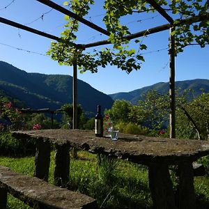 Апартаменти Wild Valley Garden Paradise In Valle Onsernone Auressio Exterior photo