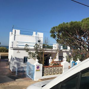 Вілла Casa La Gaviota Con Acceso Privado A La Playa Масагон Exterior photo